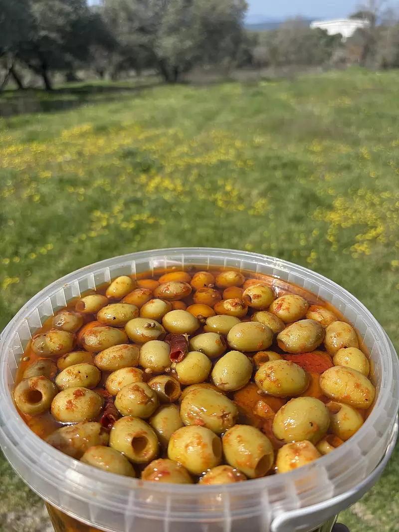 Acı Biber Soslu & Yağlı Pratik Köy Zeytini
