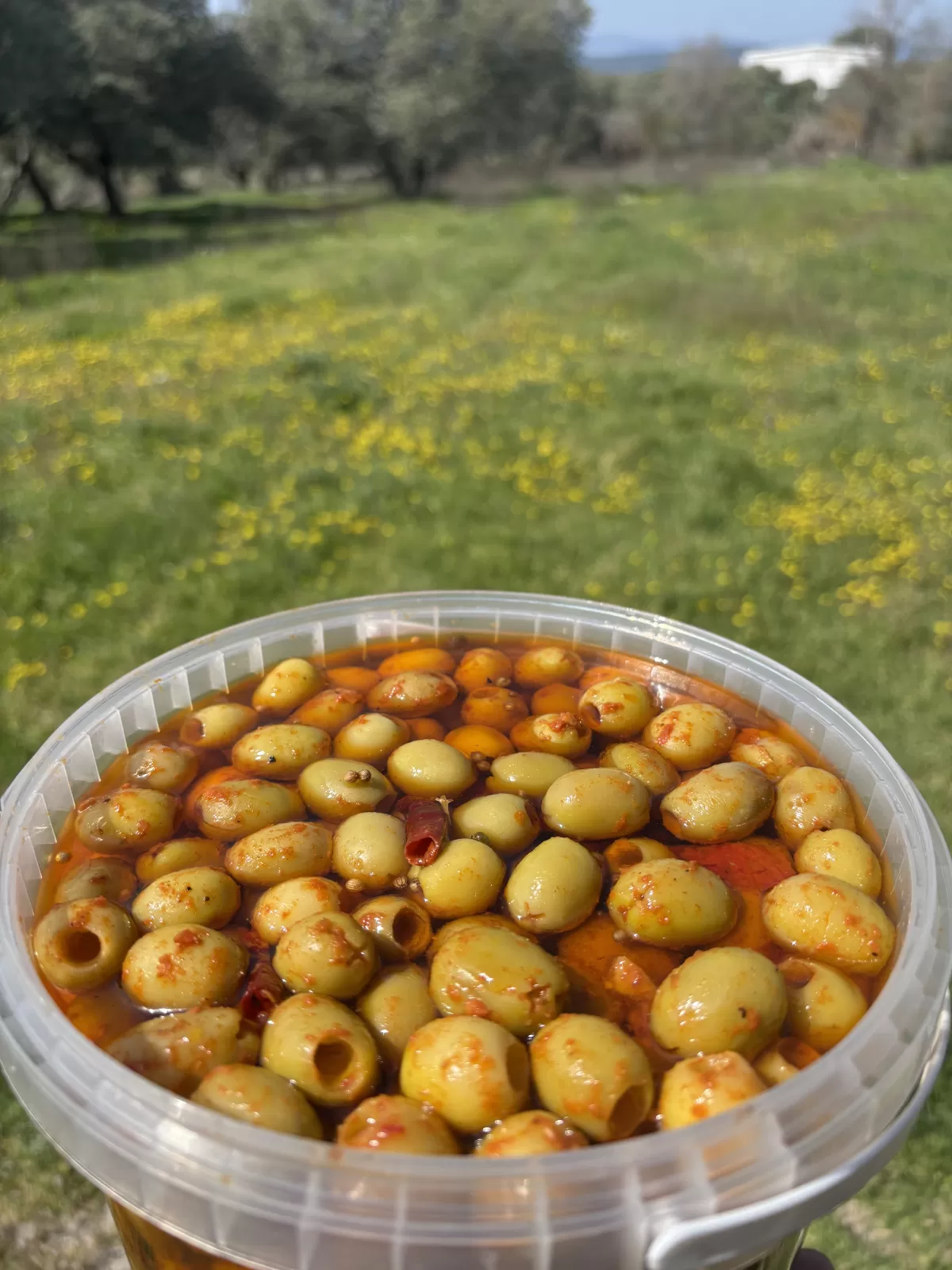 Acı Biber Soslu & Yağlı Pratik Köy Zeytini