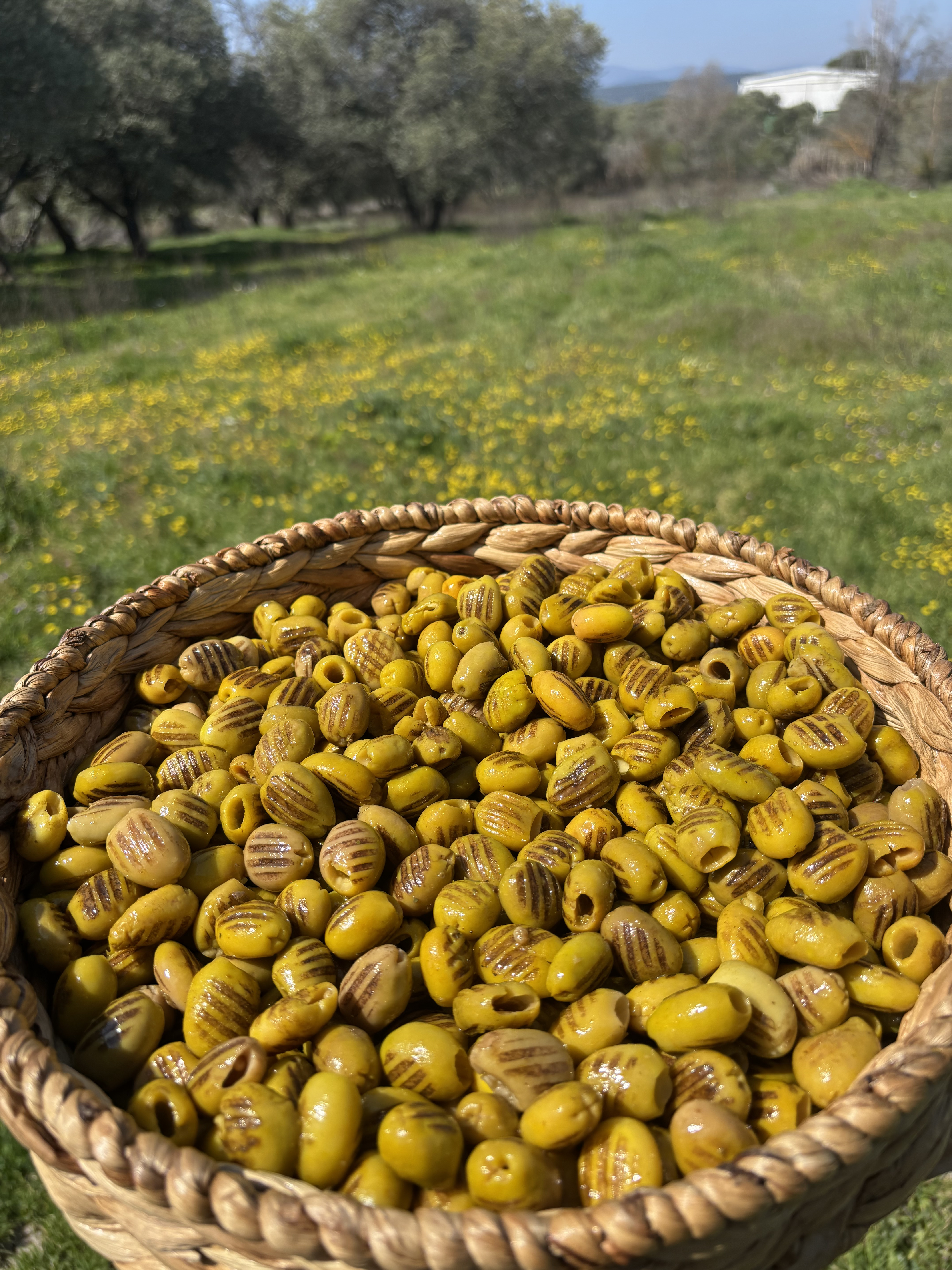 Köz Aromalı Çekirdeksiz Izgara Zeytin