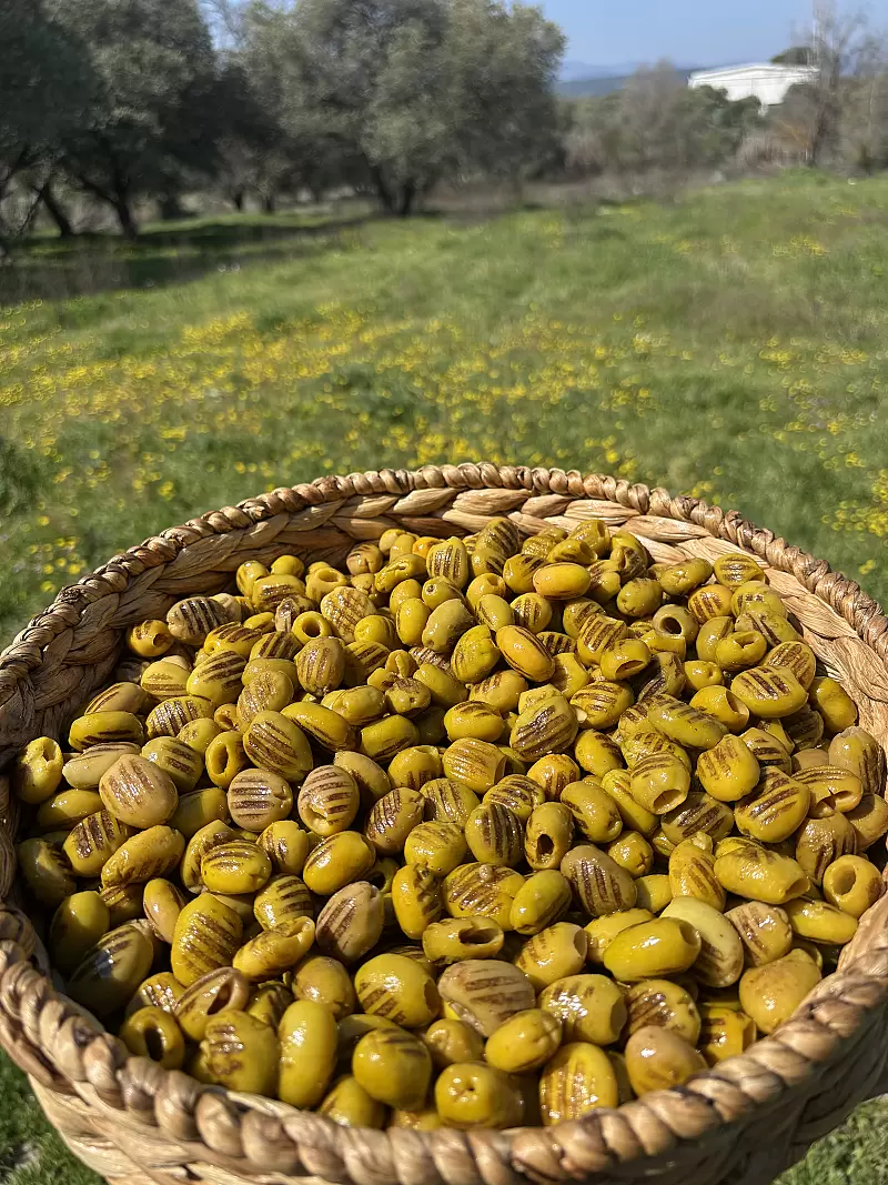 Köz Aromalı Çekirdeksiz Izgara Zeytin