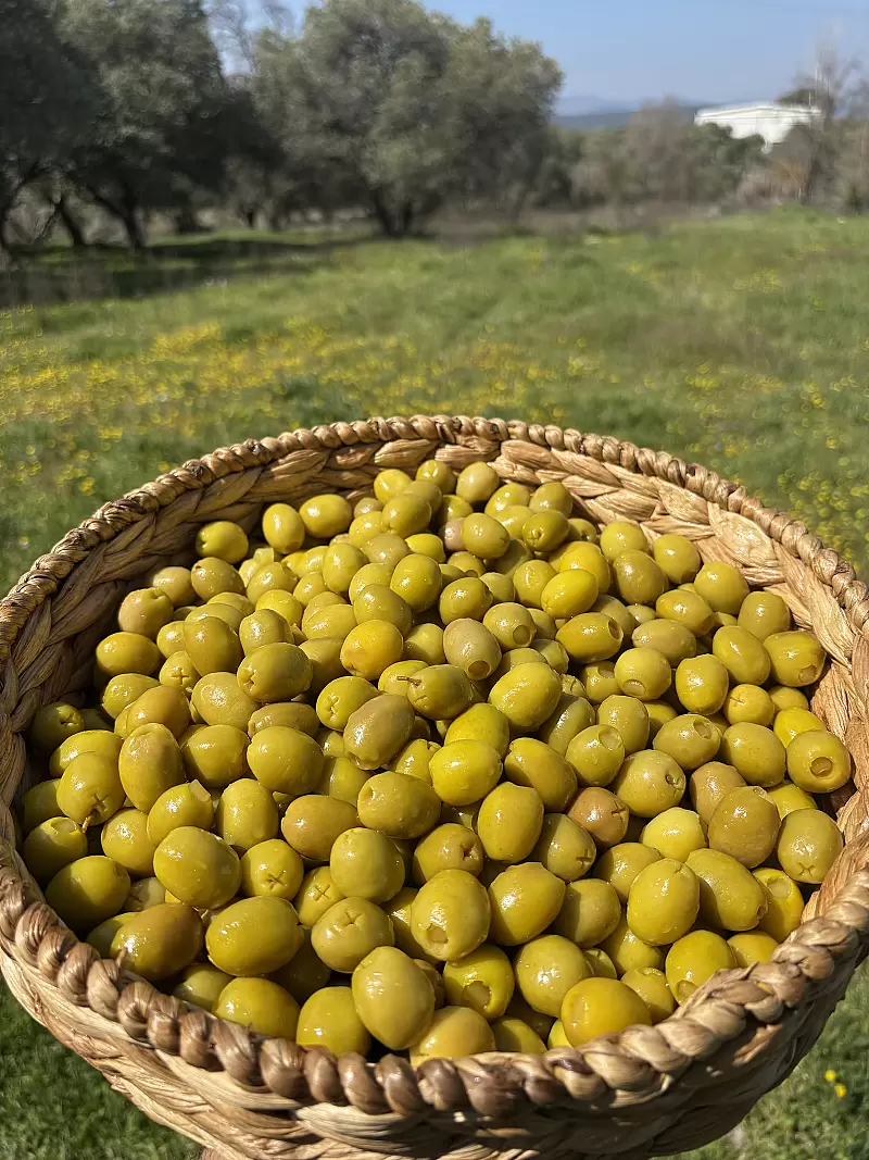 Ferah Limon Dolgulu Yeşil Zeytin