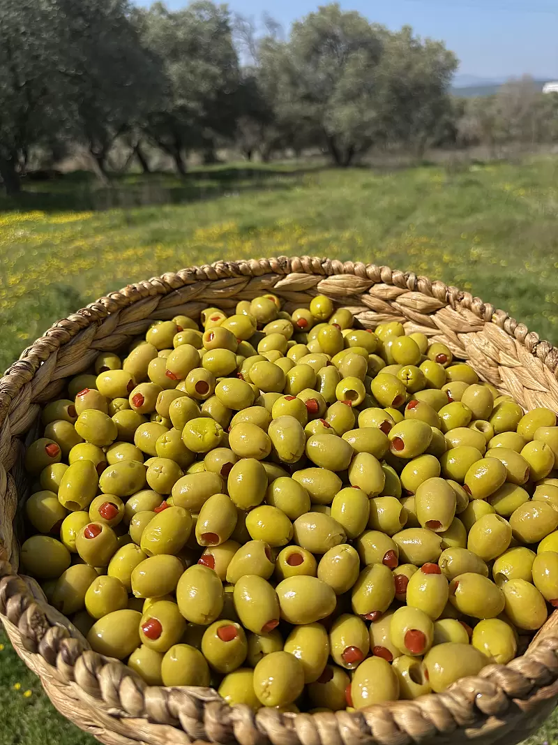 Biber Dolgulu Yeşil Zeytin(Orta Boy)231-260