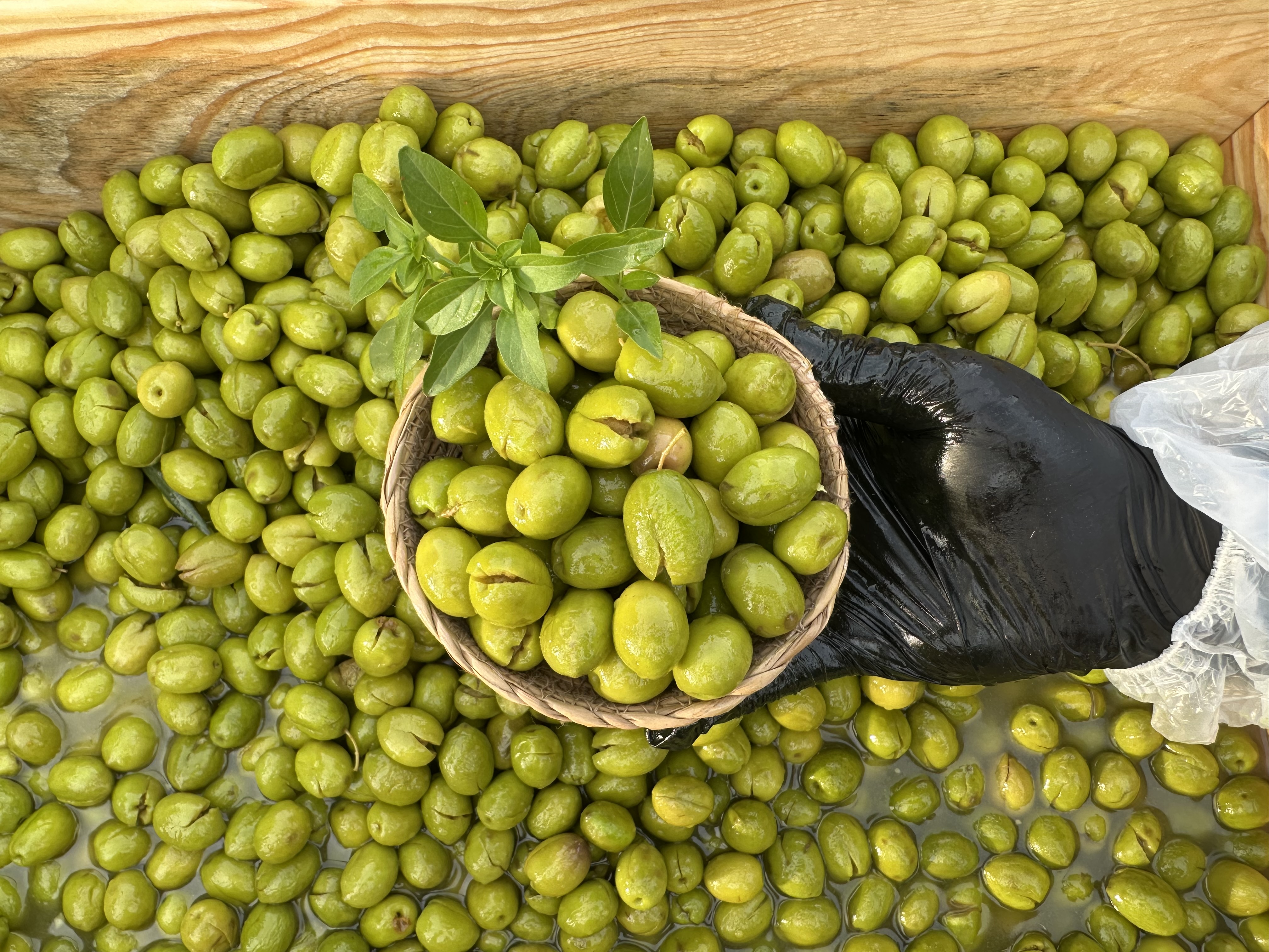 Yeni Hasat Taze Kırma
