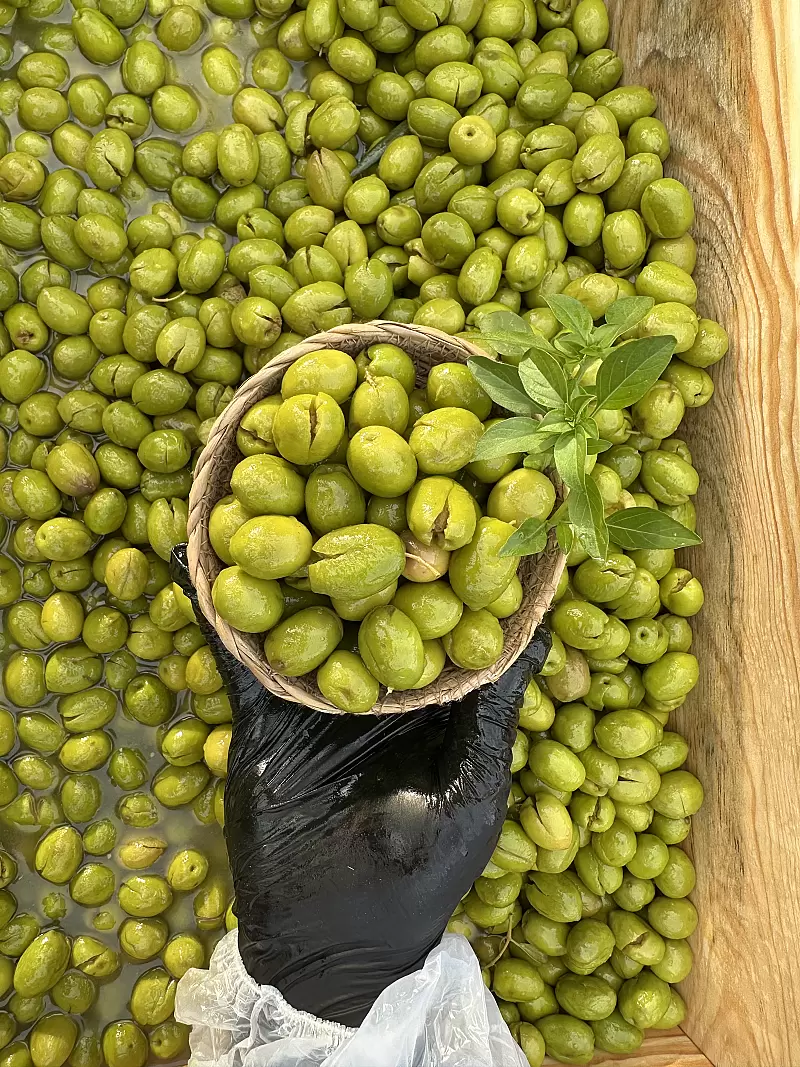 Yeni Hasat Taze Kırma