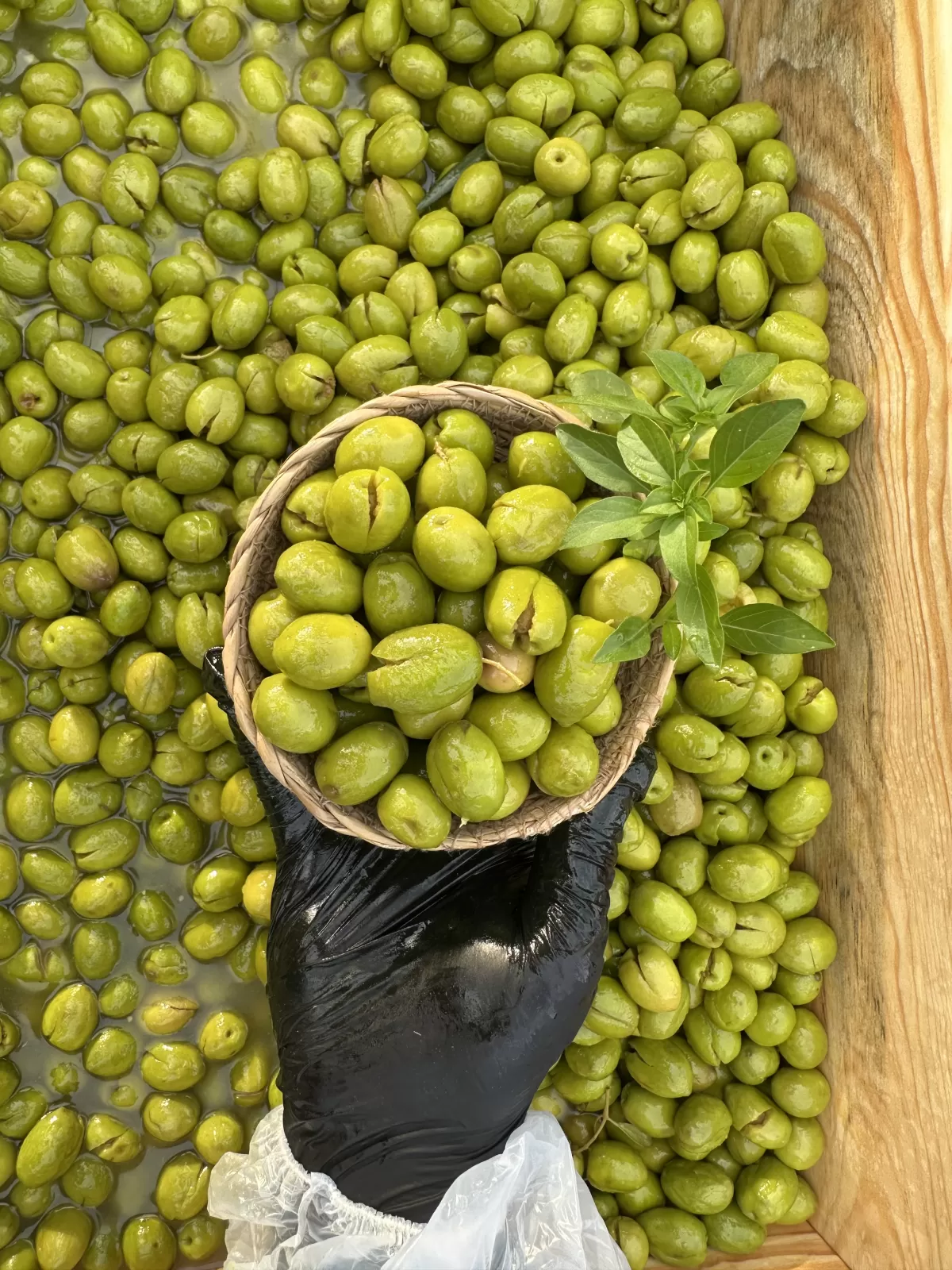Yeni Hasat Taze Kırma