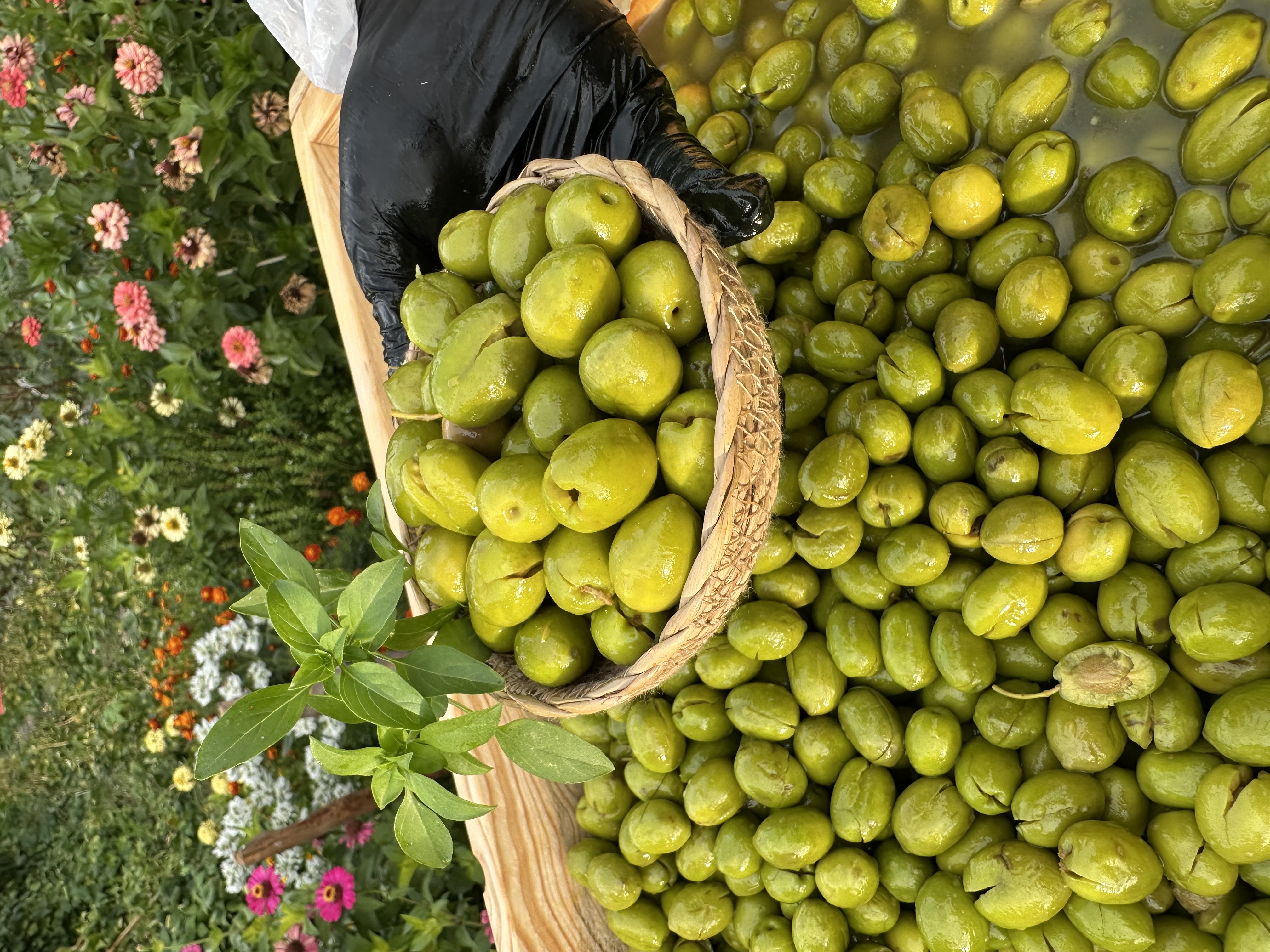 Yeni Hasat Taze Kırma