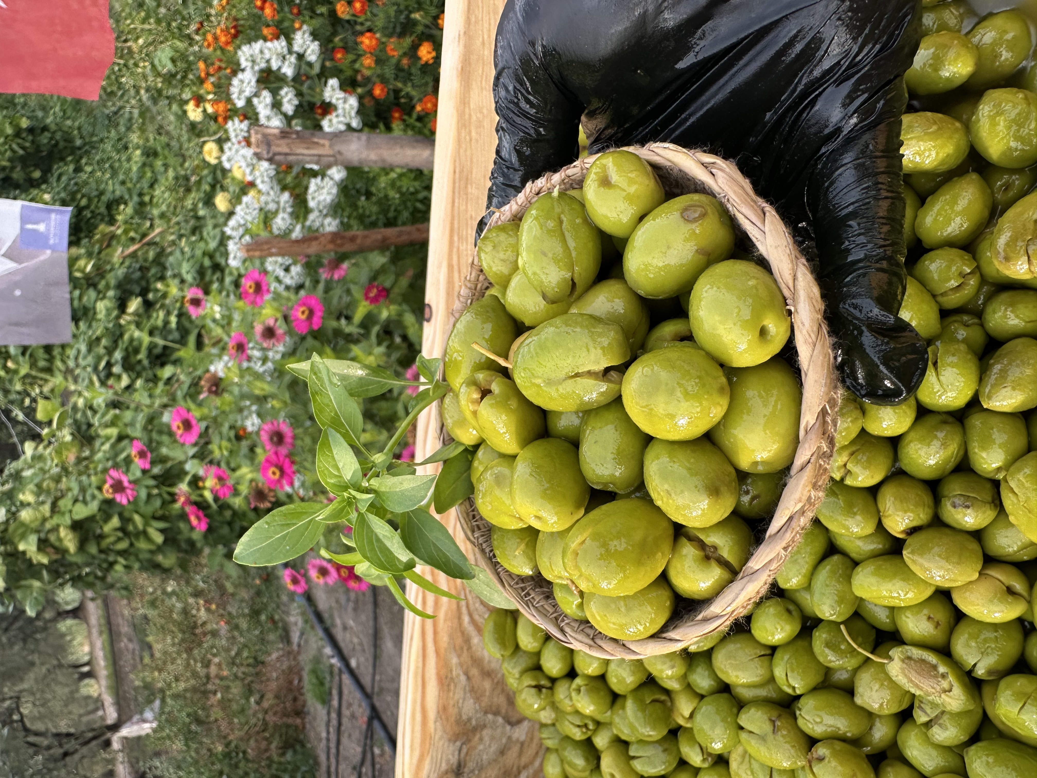 Yeni Hasat Taze Kırma