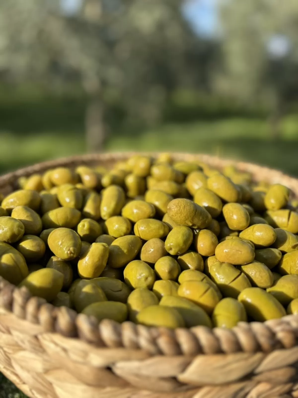 Yeni Hasat İri Kalamata Kırma(161-180)