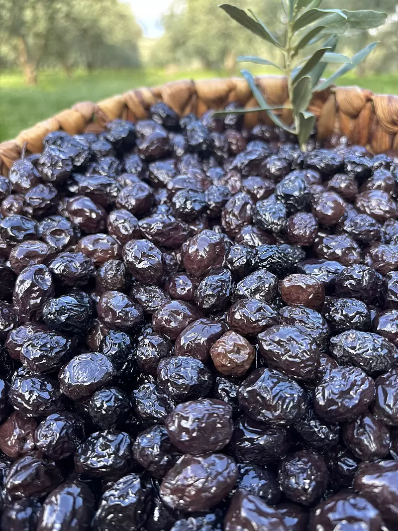 Kuru Sele Siyah Zeytin  (351-380)2XS