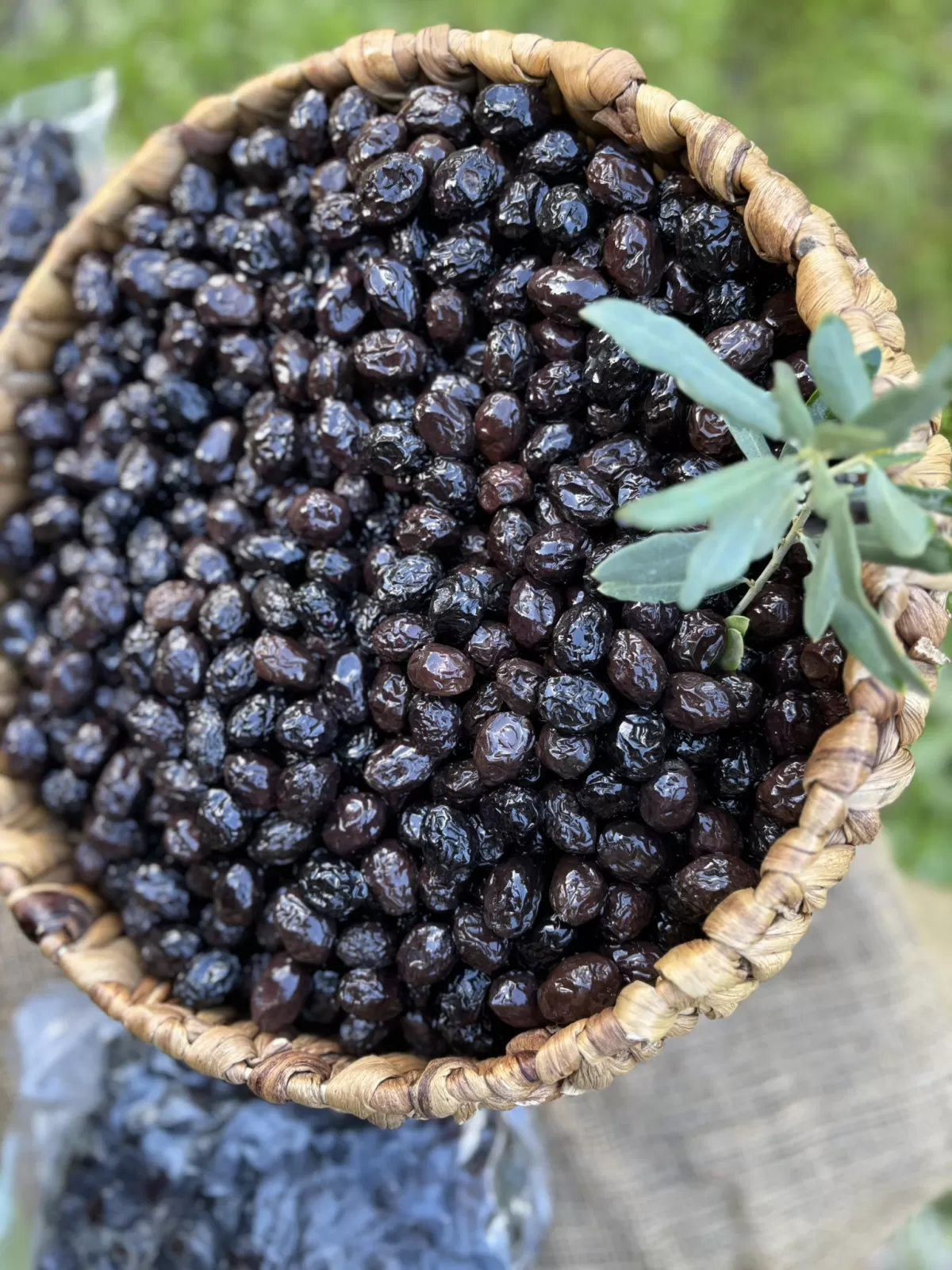 Kuru Sele Siyah Zeytin  (351-380)2XS
